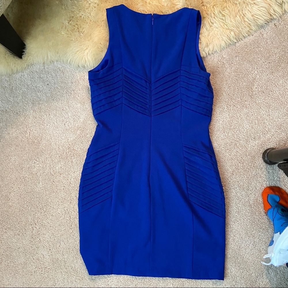 C. Price Royal Blue Dress NWT - Picture 5 of 8